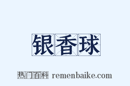 银香球是什么意思的图片